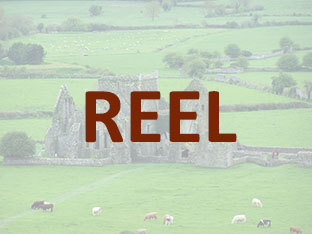 The Bird in the Bush. Reel
